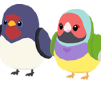Bird Icons - Play Together
