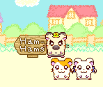 Secret Ending - Hamtaro: Ham-Ham Heartbreak