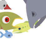 Fish Assets
