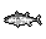 Fish (Ocean) - OTXO