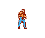 Detective Hart - VICE: Project Doom / Gun Dec