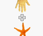 Quickie Quiz - WarioWare, Inc.: Mega Microgames!