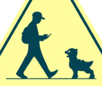 Warnings - Pokémon GO