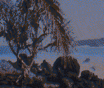 Backgrounds - Yiff!