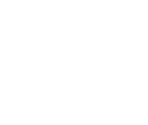 Voice Wave - Police Stories