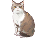 Bell (Cat)