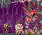Boss 5 - Gomeramos King - Contra