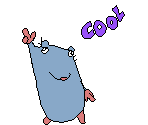 Stupid Rat