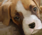 Backgrounds - Dress-up Pups