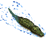 Crocodile - SimSafari