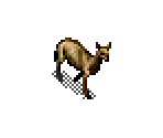 Duiker - SimSafari