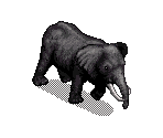 Elephant - SimSafari