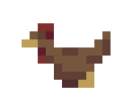 Chickens - Blood Knot