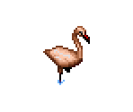 Flamingo - SimSafari
