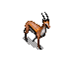 Gazelle - SimSafari