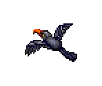 Horbill - SimSafari