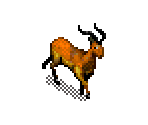 Impala - SimSafari