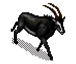Sable Antelope - SimSafari