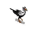 Secretary Bird