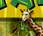 Static Images - SimSafari