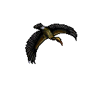 Vulture