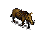 Warthog
