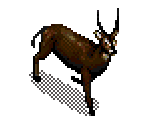 Waterbuck