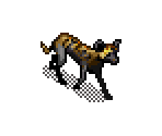 Wild Dog