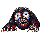 Baby Teeth