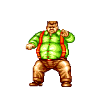 Cheng - Fatal Fury Special