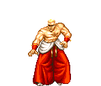 Geese - Fatal Fury Special