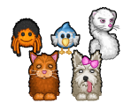 Room N - Pets - Slider Scouts