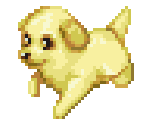 Dog 5 - Dogz