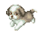 Dog 8 - Dogz