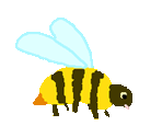 Bee - Scratch