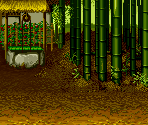 Kochi - Samurai Shodown
