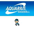 1 Wii Menu Banner & Data - Aquarius Baseball