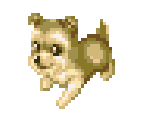 Dog 10 - Dogz