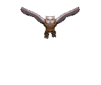 Minervan Harpy - Anvil Of Dawn
