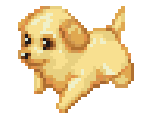 Dog 13 - Dogz