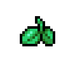 Basil