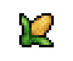 Corn