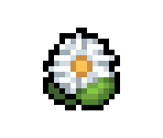 Daisy