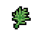 Dill