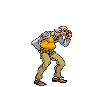 Gray Fly (Unused) - JoJo's Bizarre Adventure