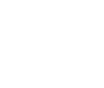 Control Prompts