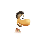Ray Vaas