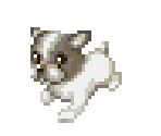 French Bulldog - Dogz