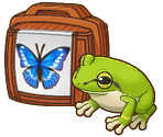Critters - Story of Seasons: Grand Bazaar