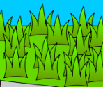 Run - Windows XP Version 19.914